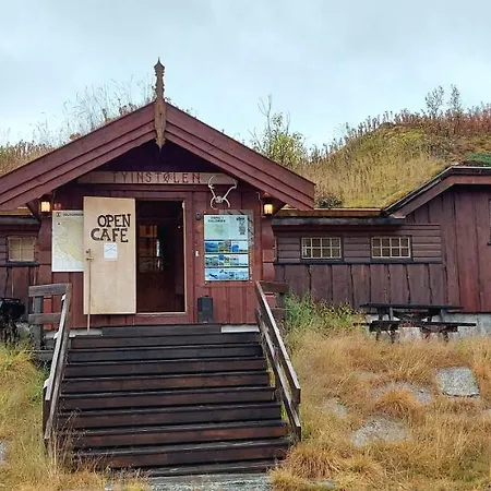 Stabburet Pa Tyinstolen #6 Chalet